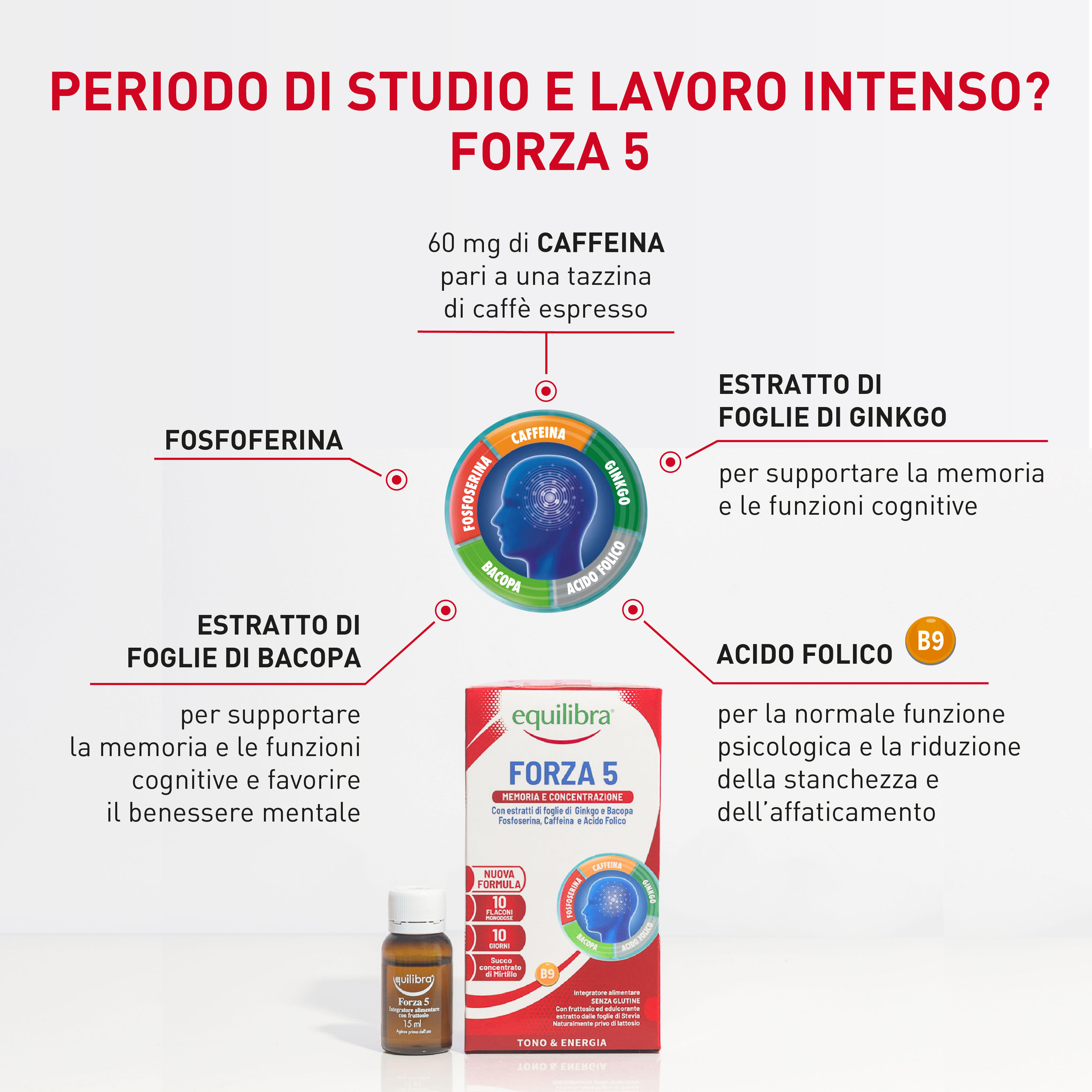 EQUILIBRA FORZA5 10 FLACONCINI