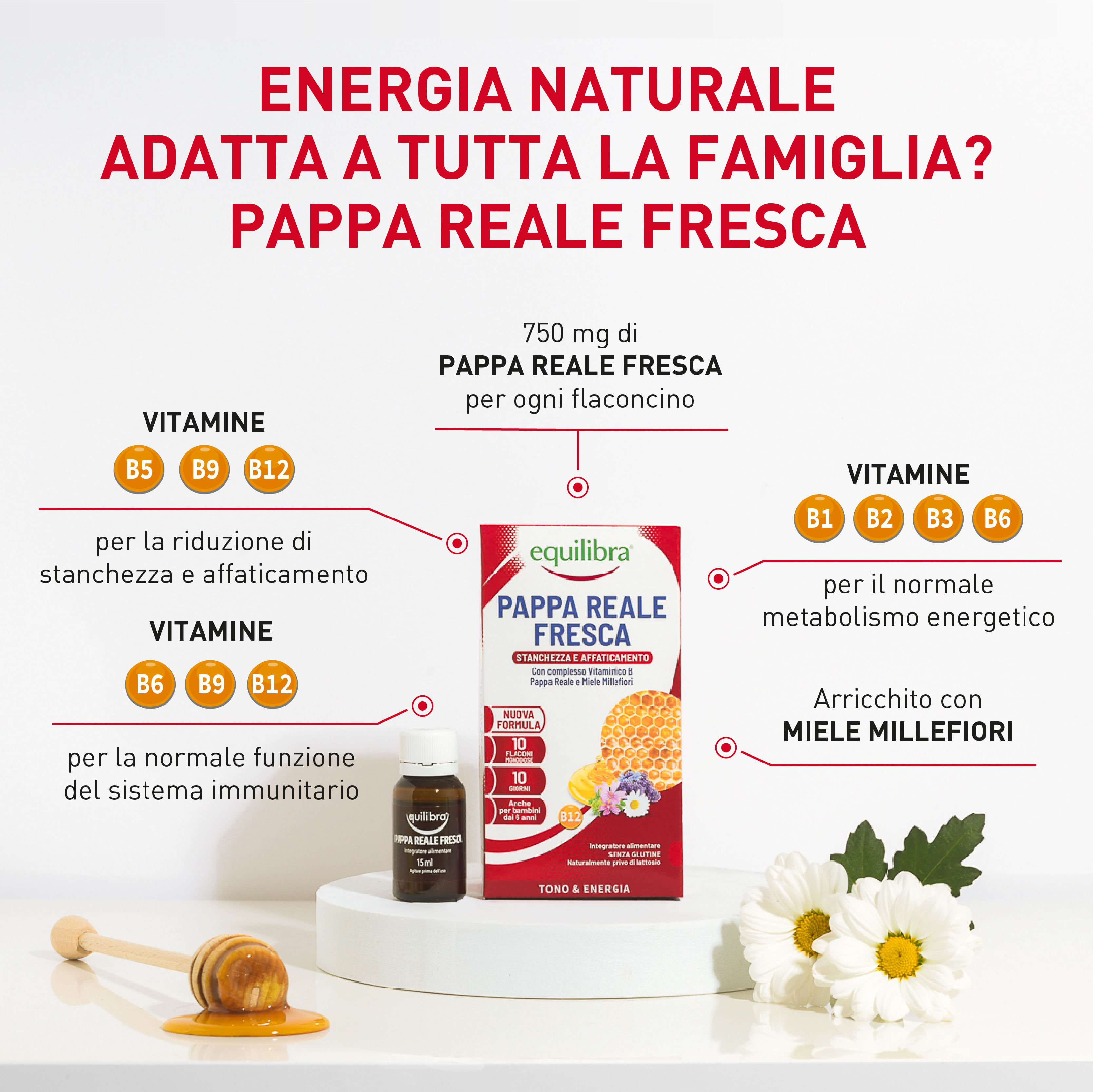 EQUILIBRA PAPPA REALE FRESCA 10 FLACONCINI