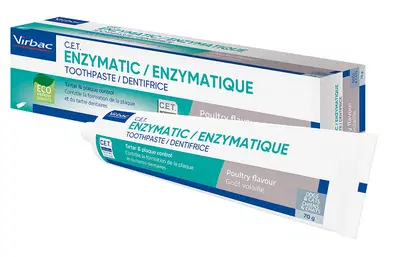 DENTIFRICIO ENZIMATICO 70 G DENTIFRICIO ENZIMATICO 70 G