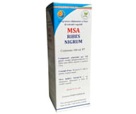 MSA RIBES NIGRUM 100 ML