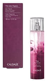 THE' DES VIGNES ACQUA FRESCA 100 ML 2022