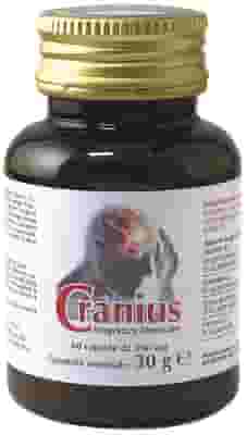 CRANIUS 60 CAPSULE