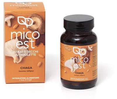 CHAGA ESTRATTO SECCO 60 TAVOLETTE CHAGA ESTRATTO SECCO 60 TAVOLETTE