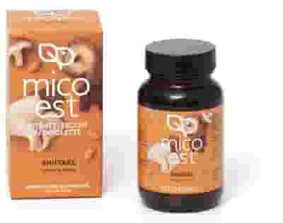 SHIITAKE ESTRATTO SECCO 60 TAVOLETTE
