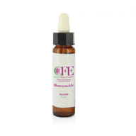 HONEYSUCKLE CEMON FLOWER ESSENCES STOCK BOTTLE 10 ML