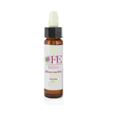 HONEYSUCKLE CEMON FLOWER ESSENCES STOCK BOTTLE 10 ML