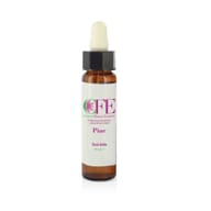PINE CEMON FLOWER ESSENCES STOCK BOTTLE 10 ML