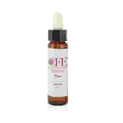 PINE CEMON FLOWER ESSENCES STOCK BOTTLE 10 ML