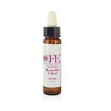 5 FIORI RESCUE CEMON FLOWER ESSENCES STOCK BOTTLE 10 ML