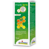 PROPOLIS SPRAY ADULTO 15 ML