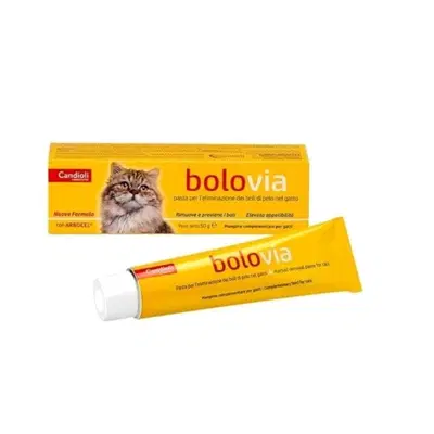 BOLO VIA PASTA GATTI 100 G BOLO VIA PASTA GATTI 100 G
