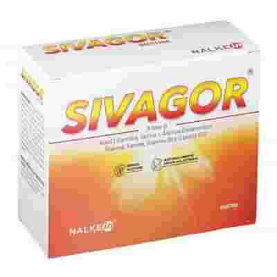 SIVAGOR 18 BUSTINE