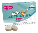 ARTICOLINA FORTE 30 COMPRESSE MASTICABILI