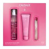 COFANETTO ROSE DE VIGNE 50 ML XMAS 2022 PROFUMO 50 ML + ROLL-ON 10 ML + GEL DOCCIA 50 ML