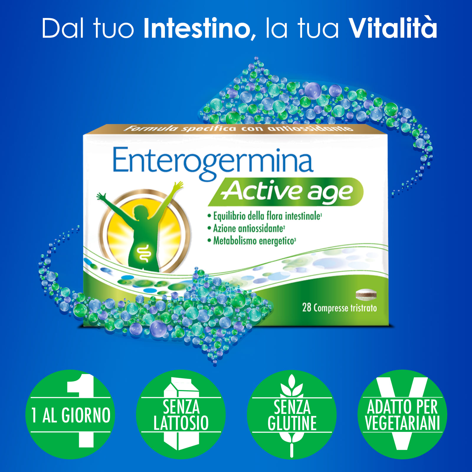 ENTEROGERMINA ACTIVE AGE 28 COMPRESSE