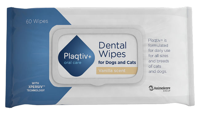 Plaqtiv+ Oral Care Salviette Dentali 60 Pezzi