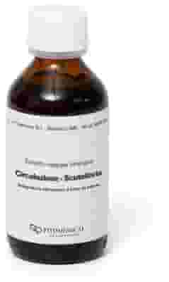 SCUTELLARIA CIRCOLAZIONE ESTRATTO INTEGRALE SINERGICO 100 ML PREPARATO 8