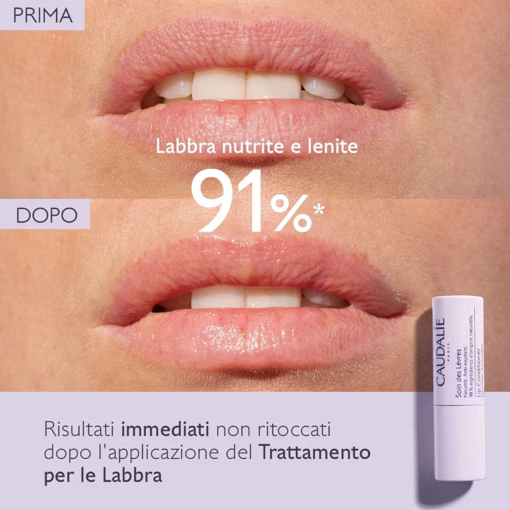 CAUDALIE STICK LABBRA 4,5 G