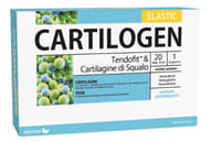 CARTILOGEN ELASTIC 20 FIALE DA 15 ML