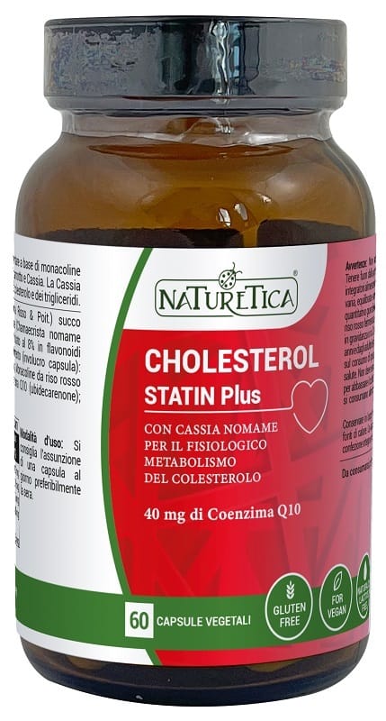 CHOLESTEROL STATIN PLUS 60 CAPSULE
