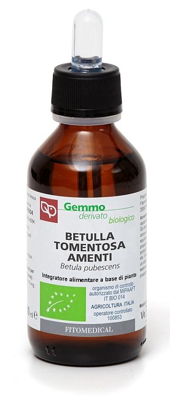 Betulla Pubescens Amenti Macerato Glicerico 100 Ml Bio