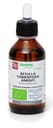 BETULLA PUBESCENS AMENTI MACERATO GLICERICO 100 ML BIO