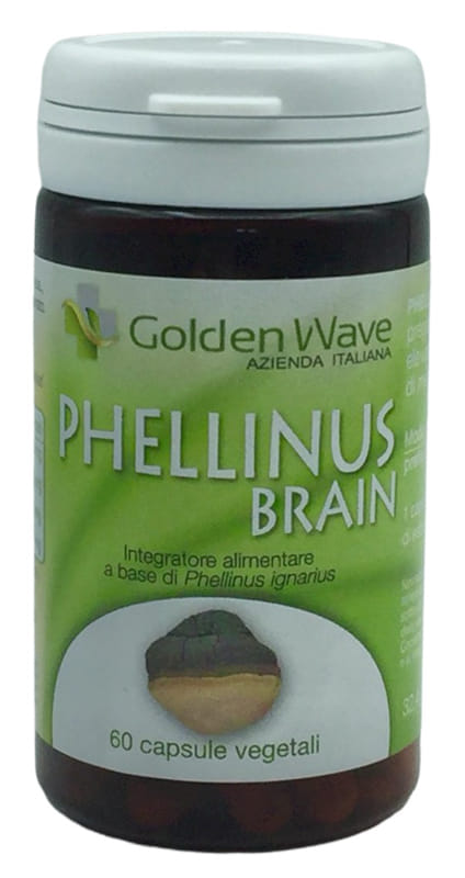 PHELLINUS BRAIN 60 CAPSULE VEGETALI