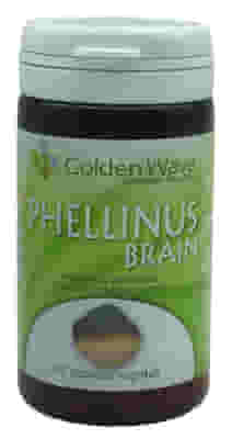 PHELLINUS BRAIN 60 CAPSULE VEGETALI