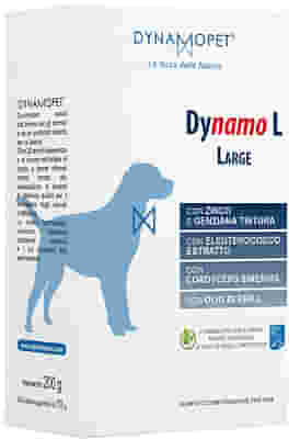 DYNAMO L LARGE CANI 20 BUSTINE DA 10 G