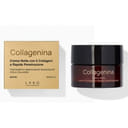 COLLAGENINA CREMA NOTTE 6 COLLAGENI GRADO 2 50 ML