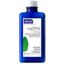 SHAMPOO MENTA 250 ML