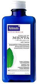 Shampoo Menta 250 Ml