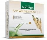 RAPHANUS SATIVUS L ESP 10 FIALE DA 10 ML