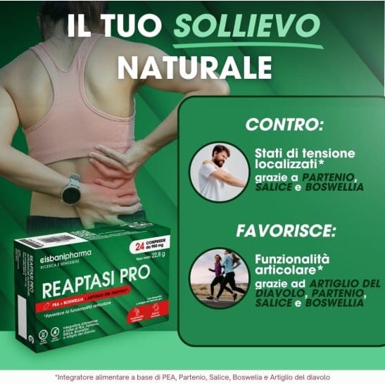 REAPTASI PRO 24 COMPRESSE