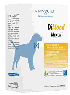DIMOOD MEDIUM 20 BUSTINE DA 10 G