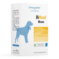 DIMOOD MEDIUM 20 BUSTINE DA 10 G