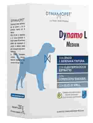 DYNAMO L MEDIUM 20 BUSTINE DA 10 G