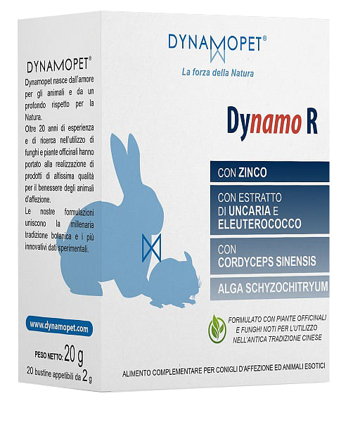 Dynamo R 20 Bustine Da 2 G