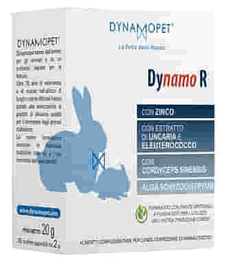 DYNAMO R 20 BUSTINE DA 2 G