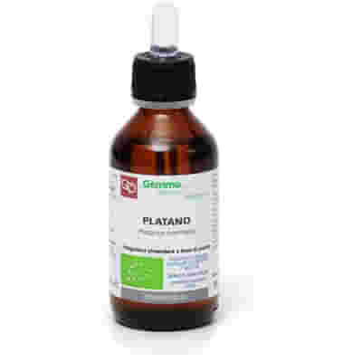PLATANO MACERATO GLICERICO 100 ML BIO