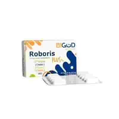 BIGUD ROBORIS PLUS 20 CAPSULE