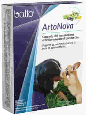 BT ARTONOVA 45 COMPRESSE
