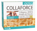 COLLAFORCE OSTEO 20 BUSTINE