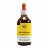 MIRTILLO ROSSO BIOGEM 100 ML