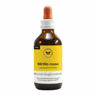 MIRTILLO ROSSO BIOGEM 100 ML