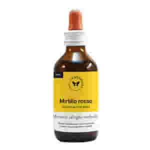 MIRTILLO ROSSO BIOGEM 100 ML