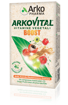 ARKOVITAL BOOST 24 COMPRESSE