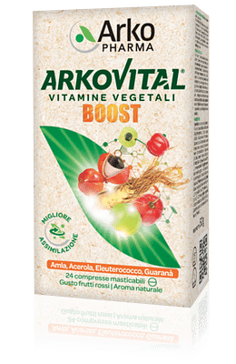 ARKOVITAL BOOST 24 COMPRESSE