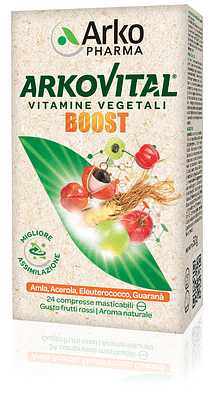 ARKOVITAL BOOST 24 COMPRESSE