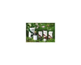 RAEMIL OLIO N3 GOCCE 25 ML